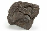 Chondrite Meteorite ( g) - Western Sahara Desert #247545-1